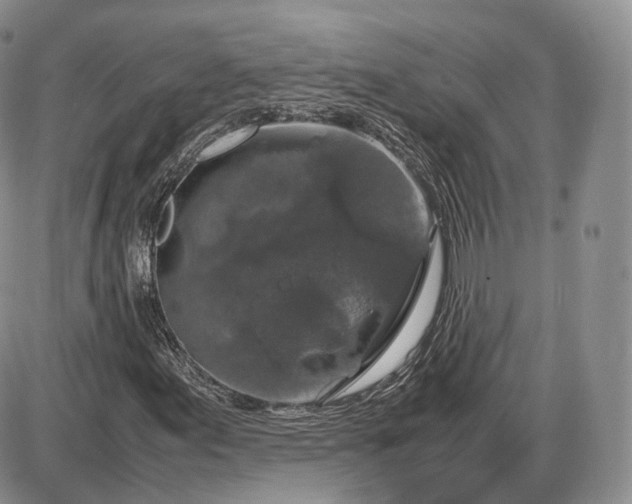 X0000085231155200703231551