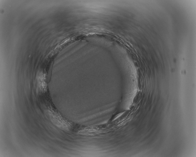 X0000085231156200703231551