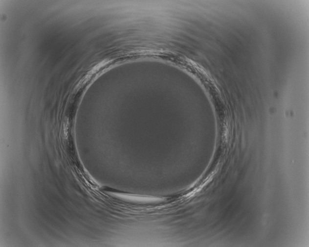 X0000085231161200703231551