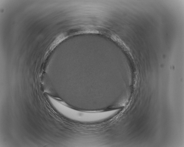 X0000085231169200703231551