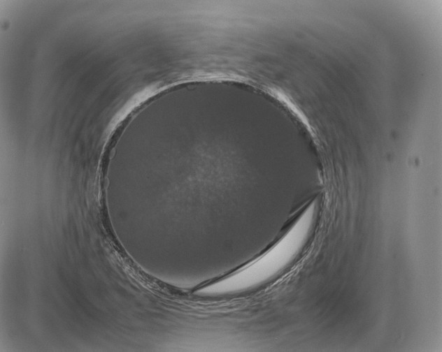 X0000085231173200703231551