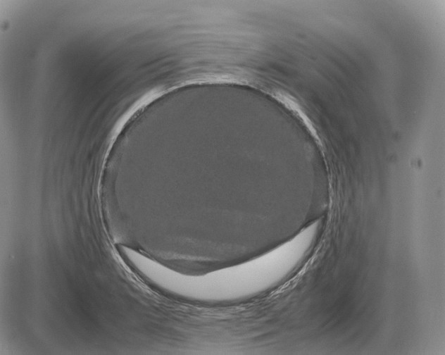 X0000085231181200703231550