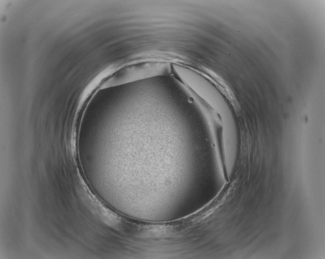 X0000085231188200703231550