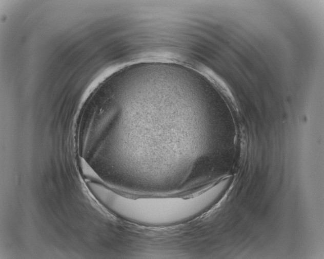 X0000085231192200703231550