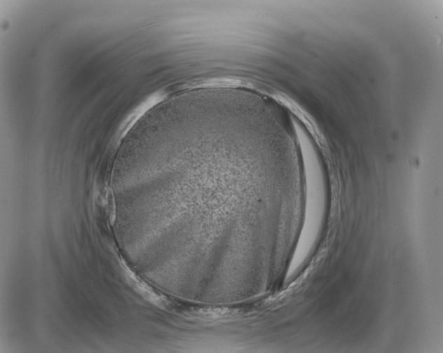 X0000085231193200703231550