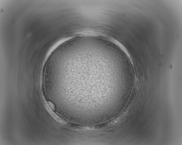 X0000085231195200703231550
