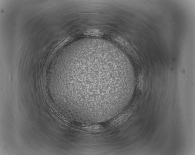 X0000085231201200703231549