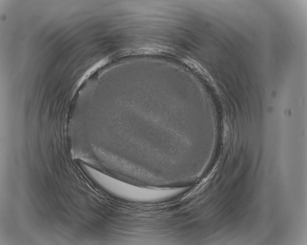 X0000085231210200703231549
