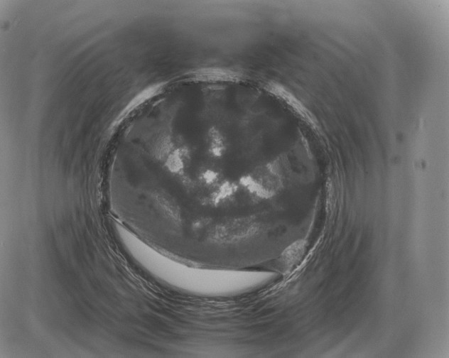 X0000085231213200703231550