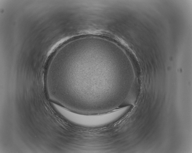 X0000085231214200703231550