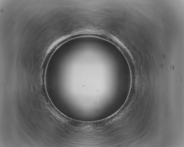 X0000085231222200703231550
