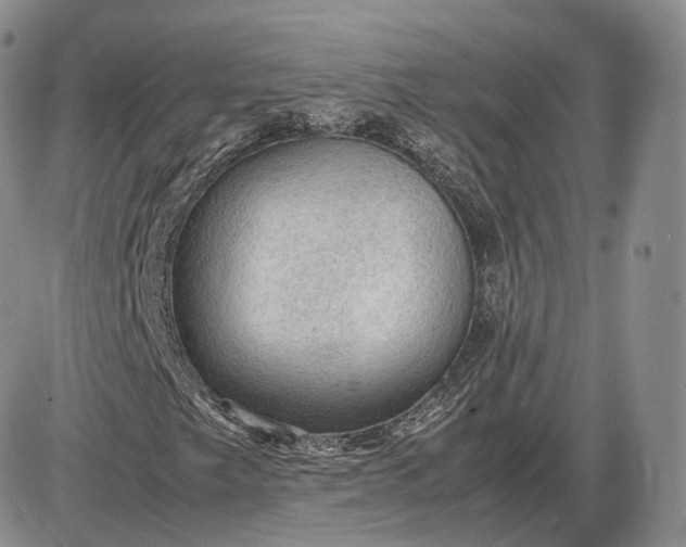 X0000085231249200703231549