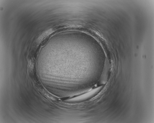 X0000085231257200703231549