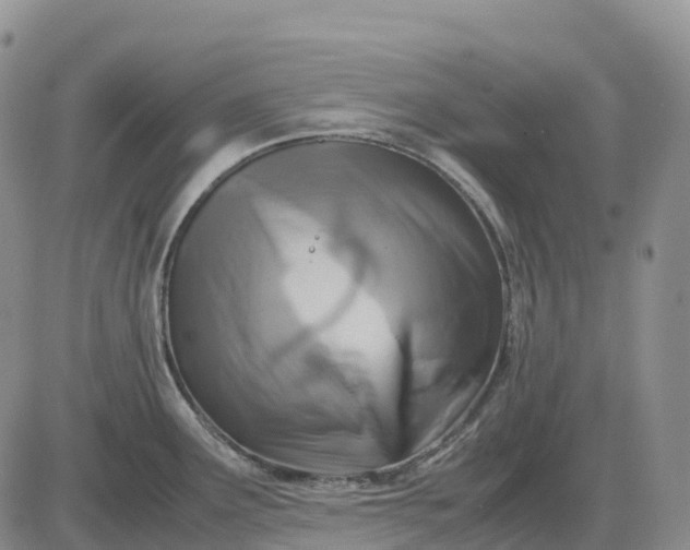 X0000085231291200703231549