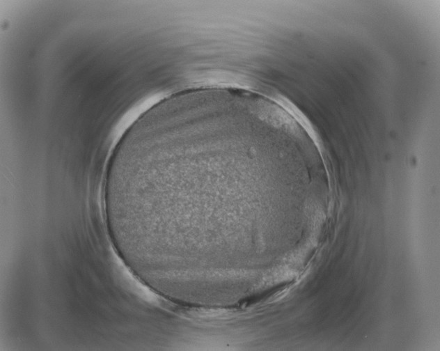 X0000085231293200703231549