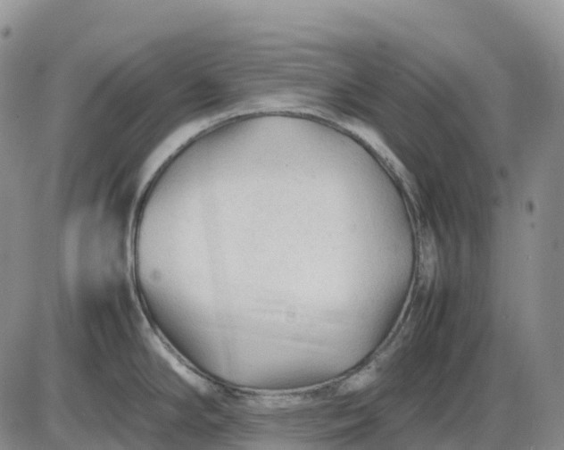 X0000085231294200703231549