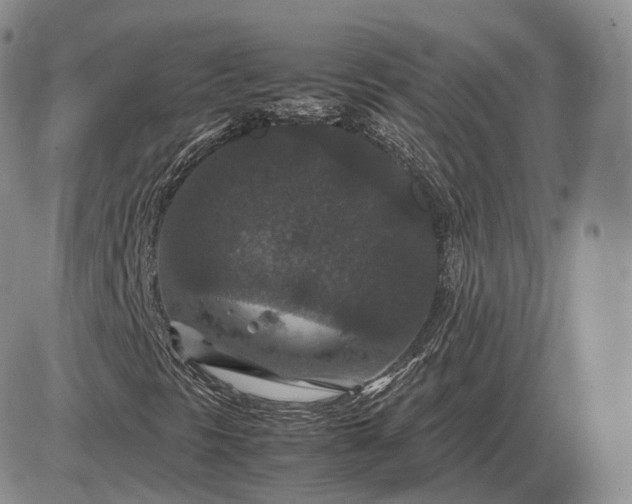 X0000085231297200703231548