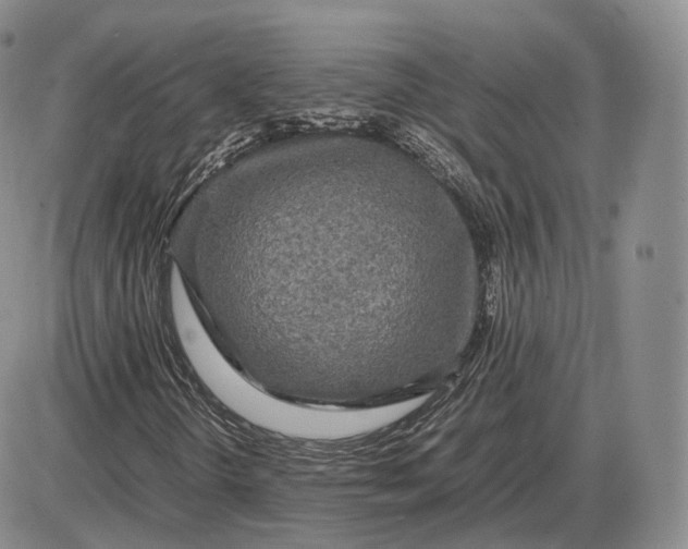 X0000085231298200703231548
