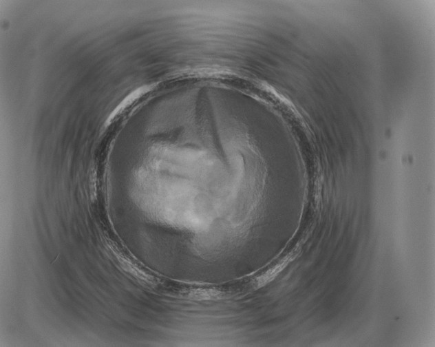 X0000085231306200703231548