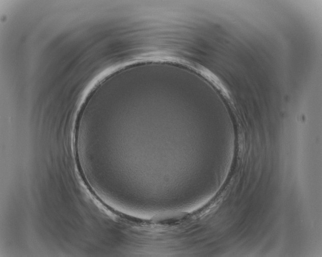 X0000085231334200703231548
