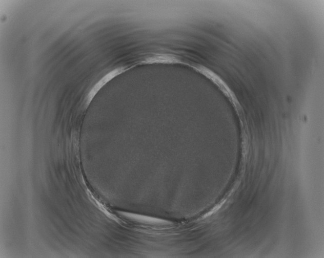 X0000085231337200703231548