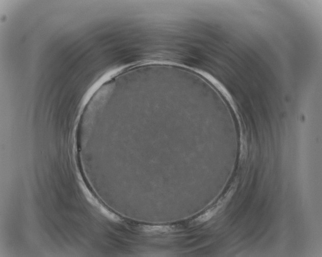 X0000085231341200703231548