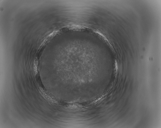 X0000085231348200703231548