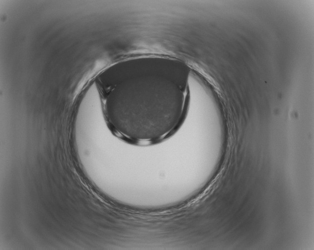 X0000085231357200703231548