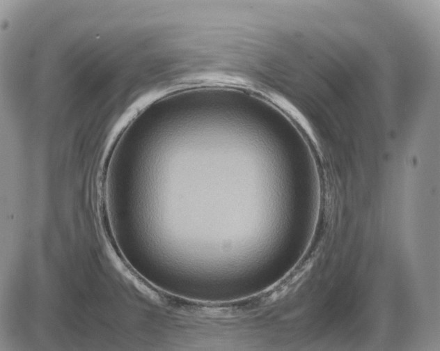 X0000085231381200703231547