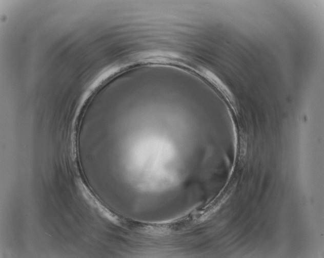 X0000085231384200703231547