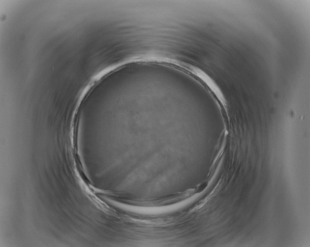 X0000085231388200703231547