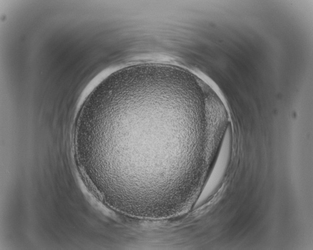 X0000085231389200703231547