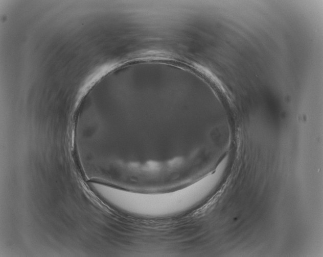 X0000085231413200703231546