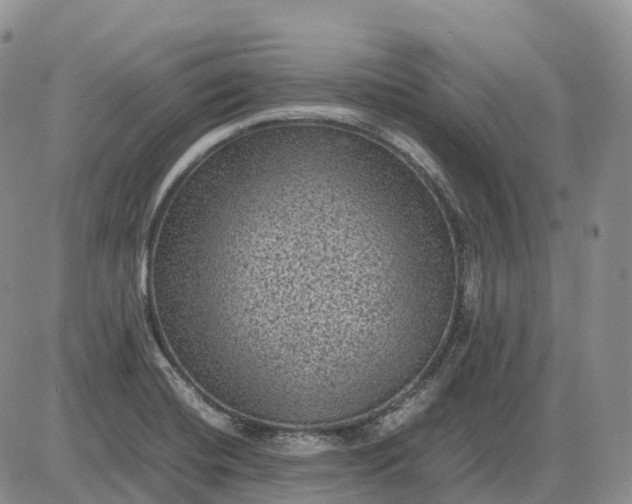 X0000085231420200703231547