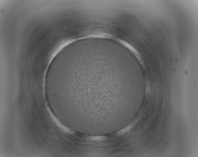 X0000085231423200703231547