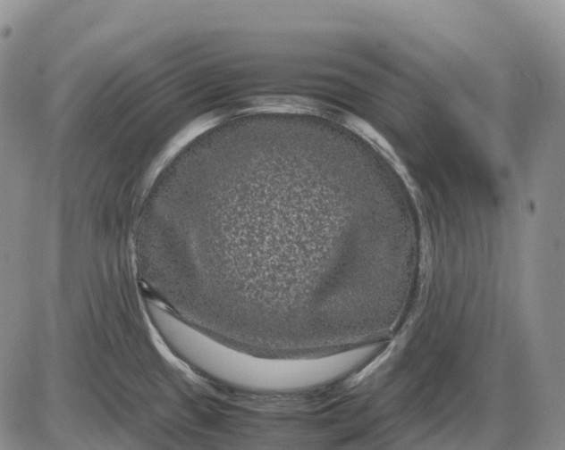 X0000085231433200703231547