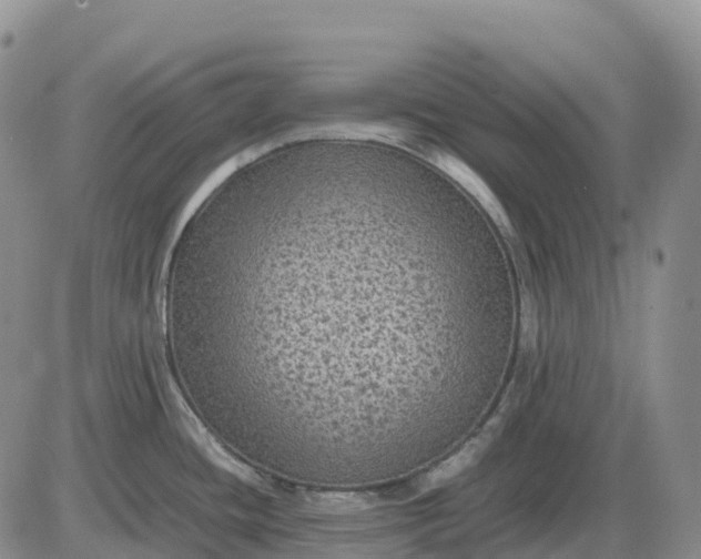 X0000085231436200703231547