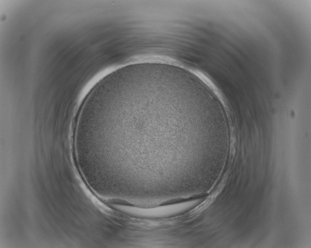 X0000085231438200703231547