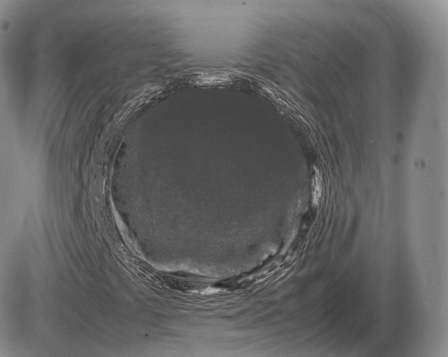 X0000085231441200703231546