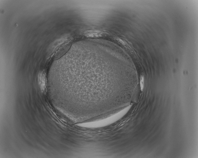 X0000085231444200703231546