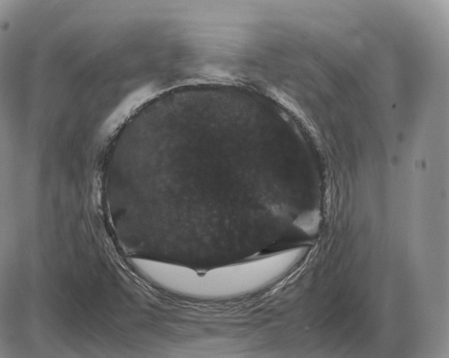 X0000085231455200703231546