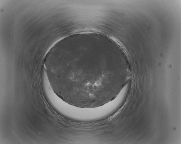 X0000085231457200703231546