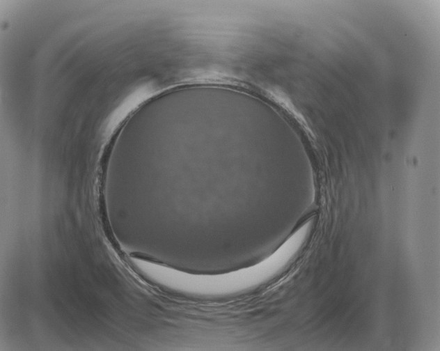 X0000085231463200703231546