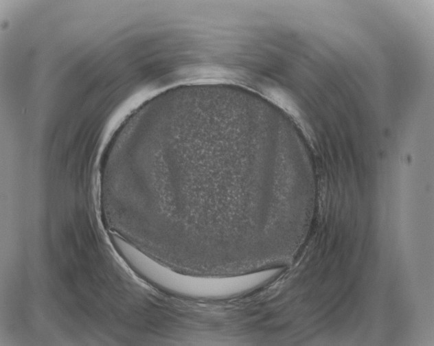 X0000085231472200703231546