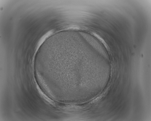 X0000085231475200703231546