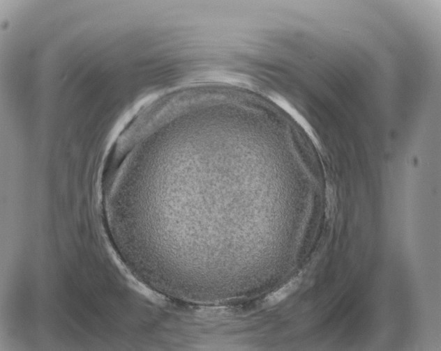 X0000085231477200703231546