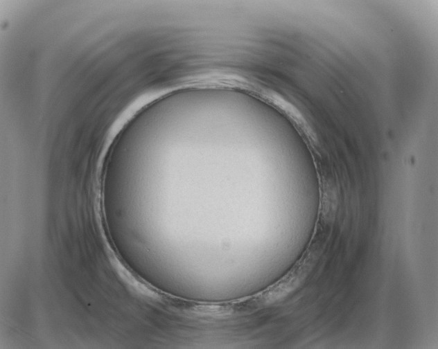 X0000085231478200703231546