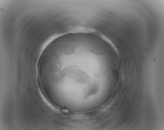 X0000085231479200703231545