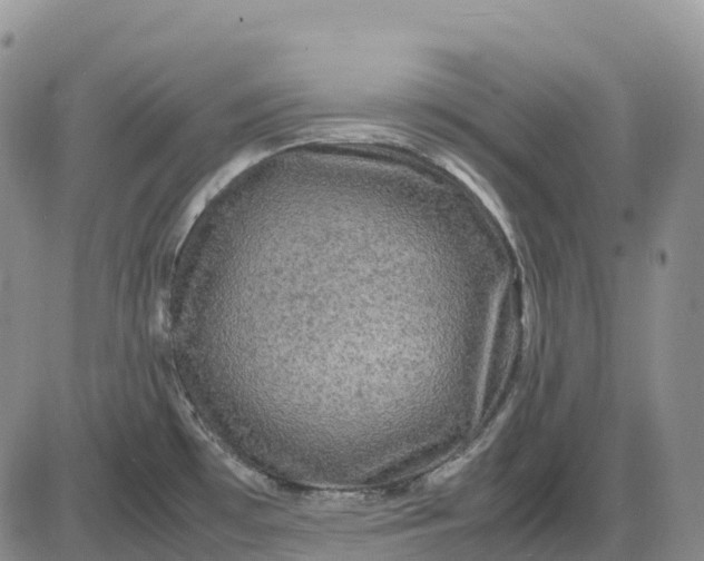 X0000085231481200703231545