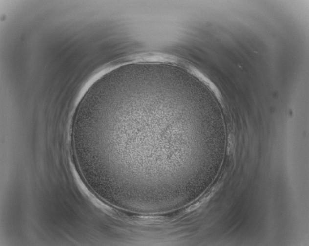 X0000085231483200703231545